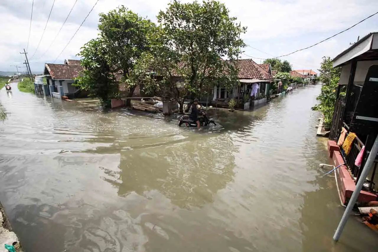 Banjir Setinggi 50 Cm...