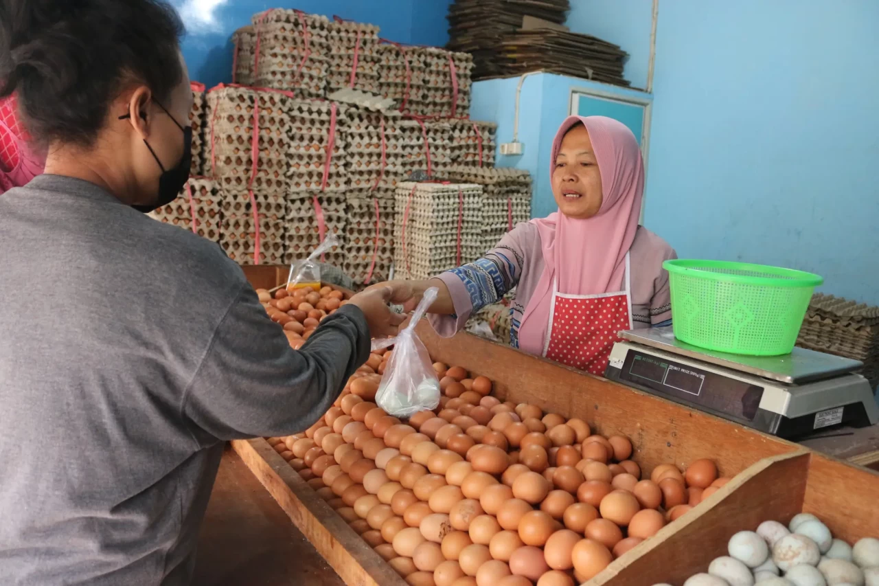 Harga Telur Berangsur...