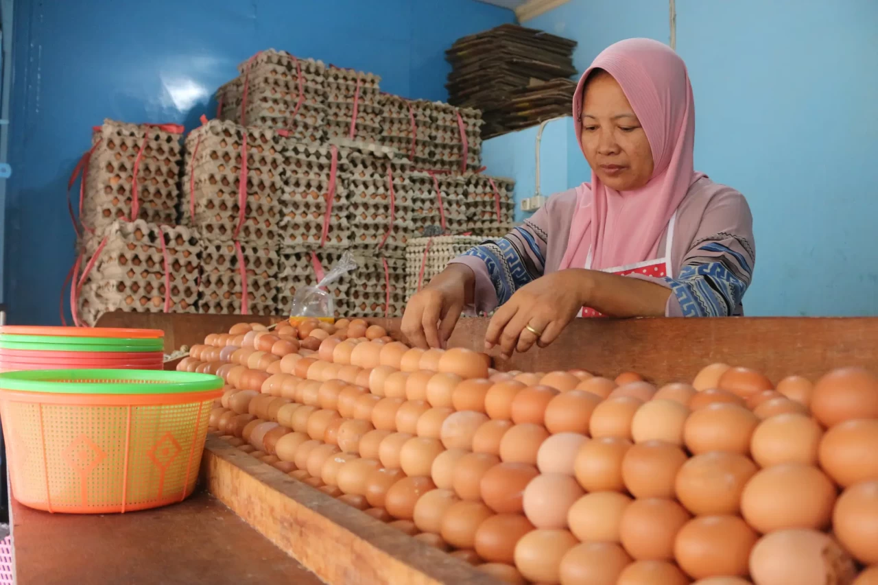 Harga Telur Berangsur...