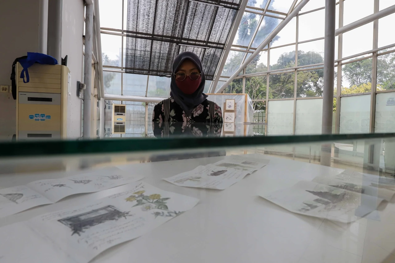 Melihat Pameran Seni...