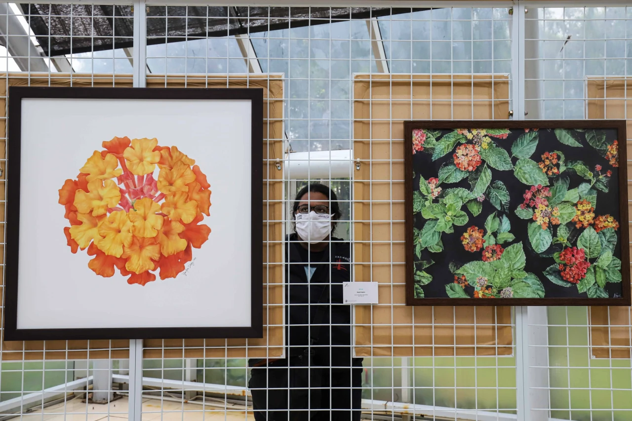 Melihat Pameran Seni...