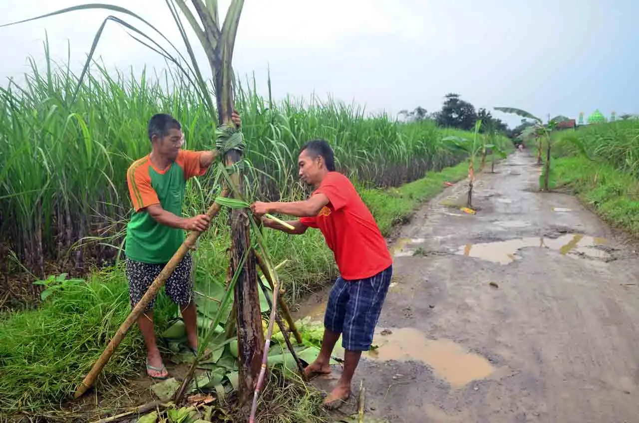 Protes Jalan Rusak,...