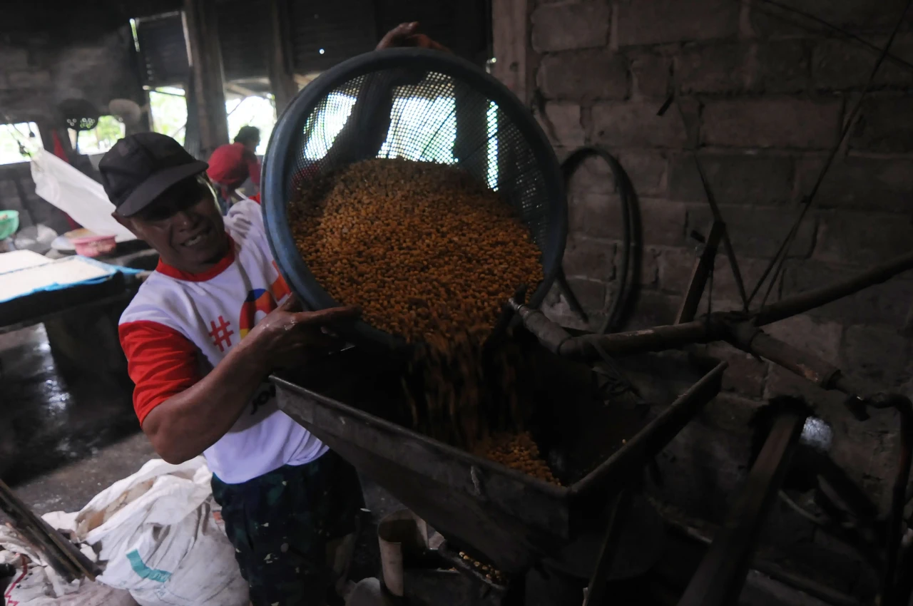 Harga Kedelai Kembali...