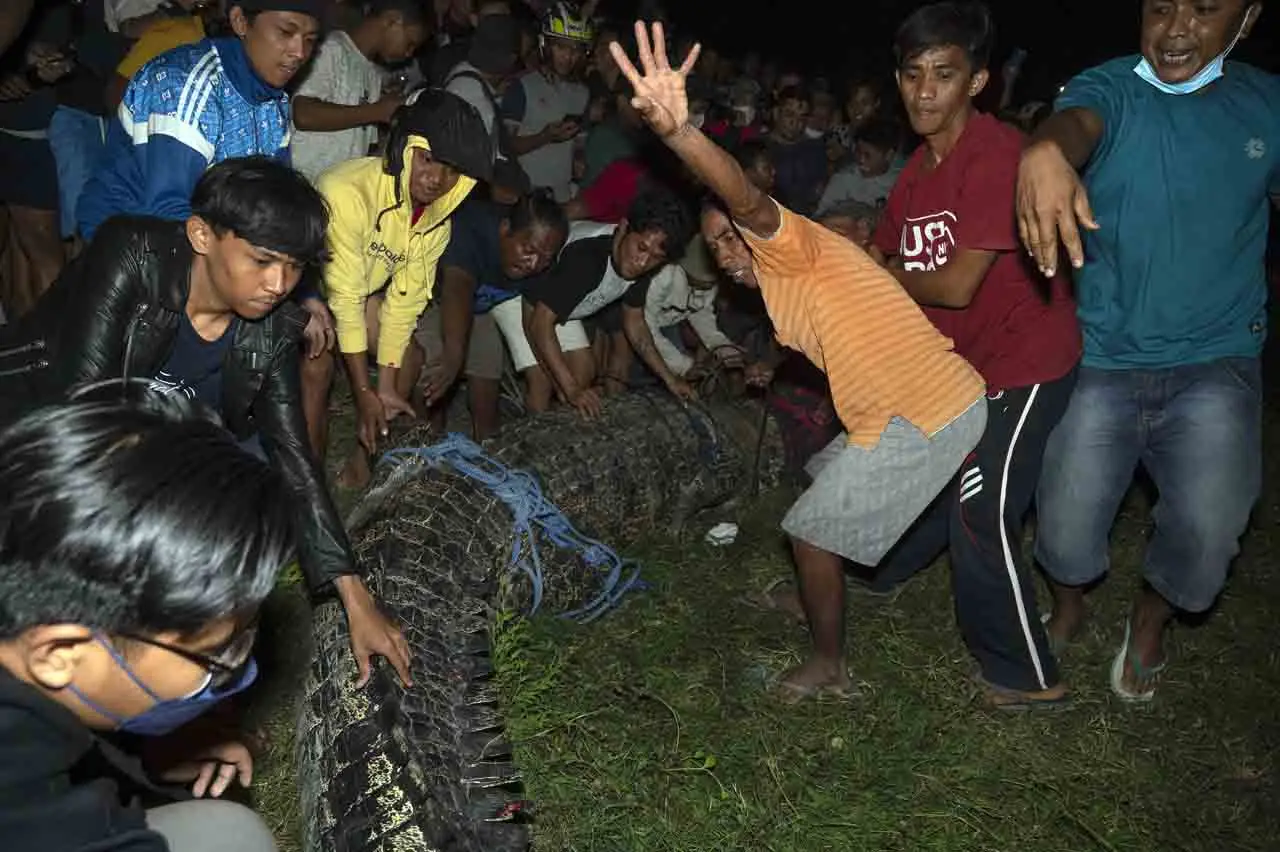 Begini Proses Pemotongan...
