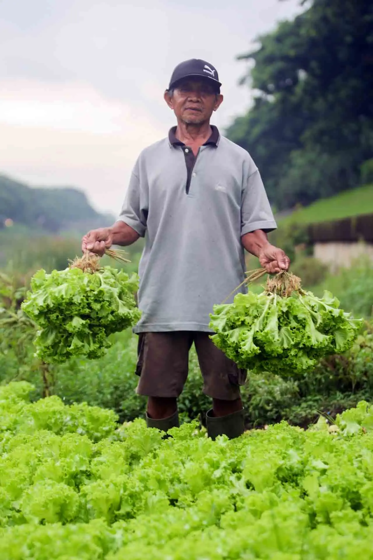 Manfaatkan Lahan Bantaran...