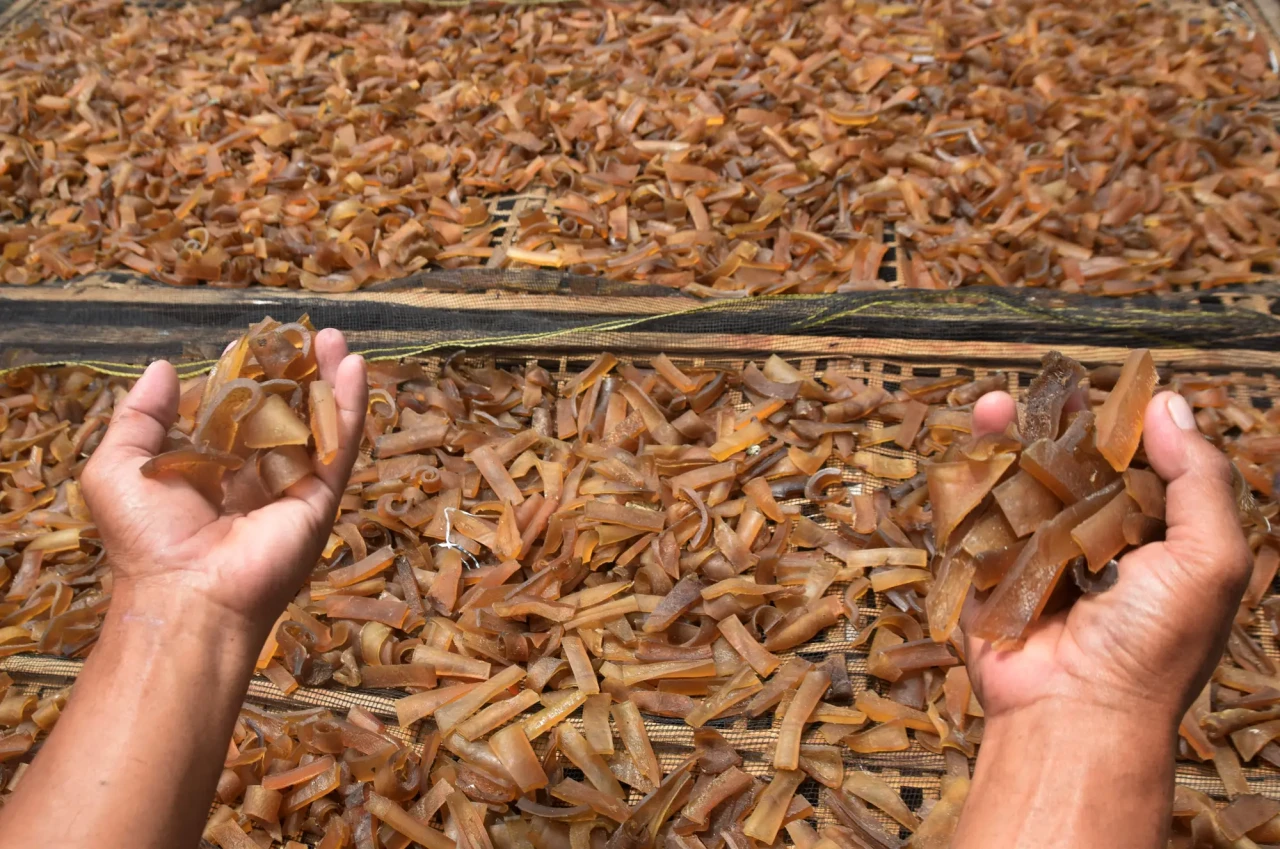 Geliat Produksi Kerupuk...