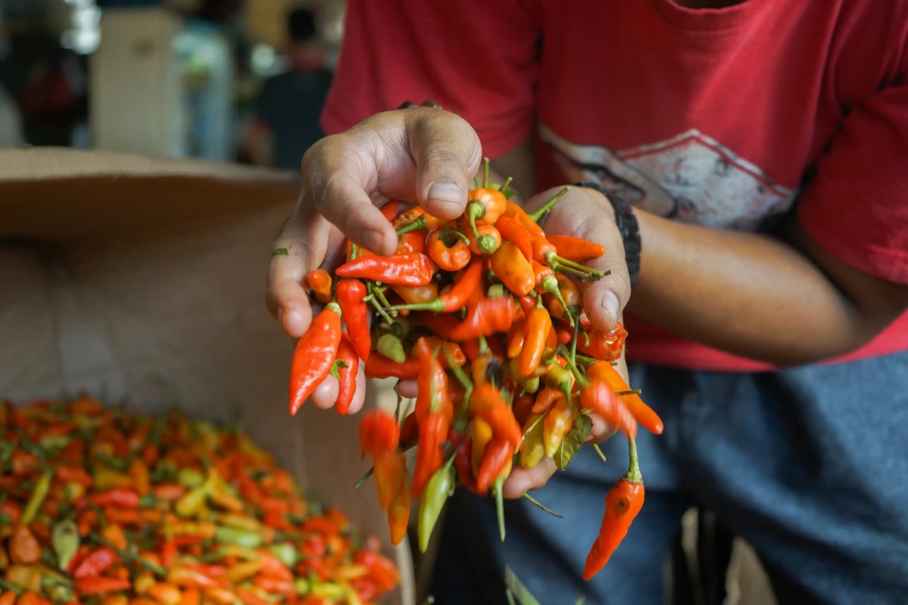 Harga Cabai Rawit Merah...