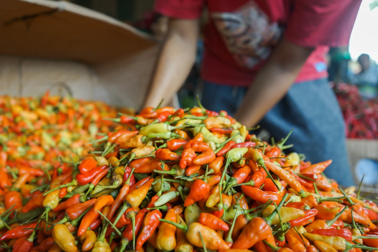 Harga Cabai Rawit Merah...