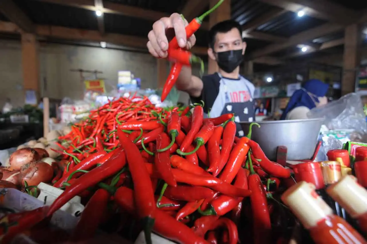 Harga Cabai Rawit di...