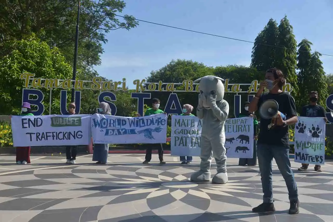 Kampanye Kreatif Penyelamatan...