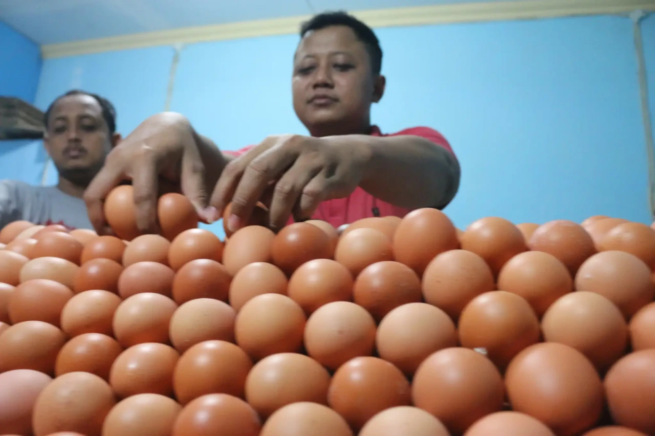 Jelang Puasa, Harga...