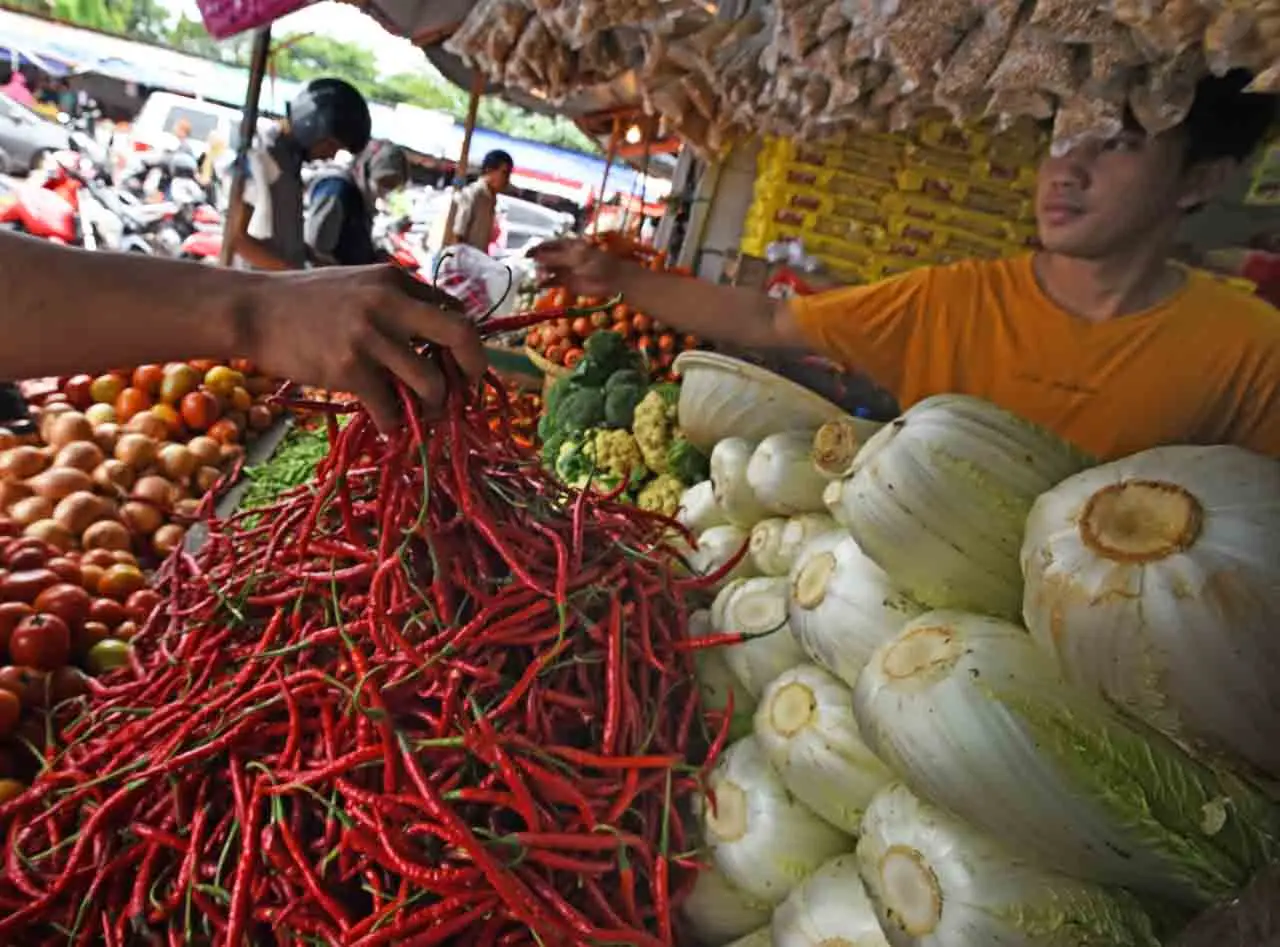 Harga Sayur Naik Akibat...