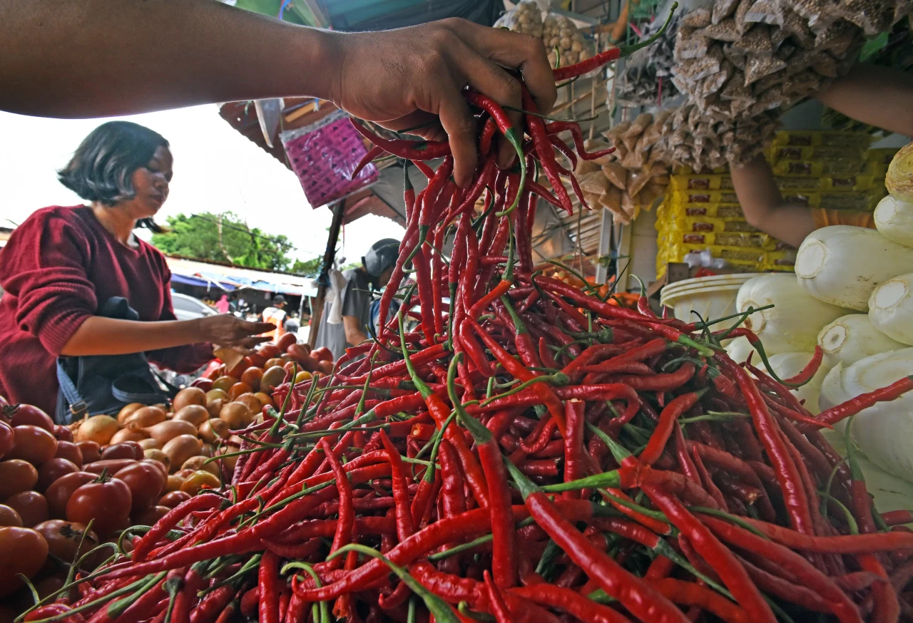Harga Sayur Naik Akibat...
