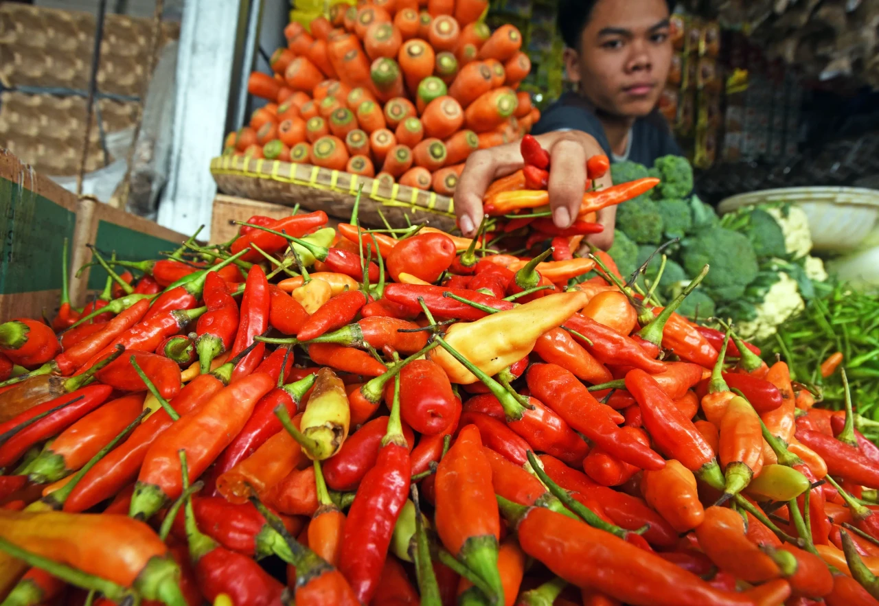 Harga Sayur Naik Akibat...