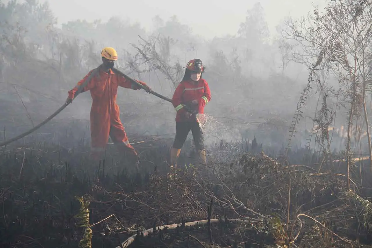 Karhutla di Belakang...