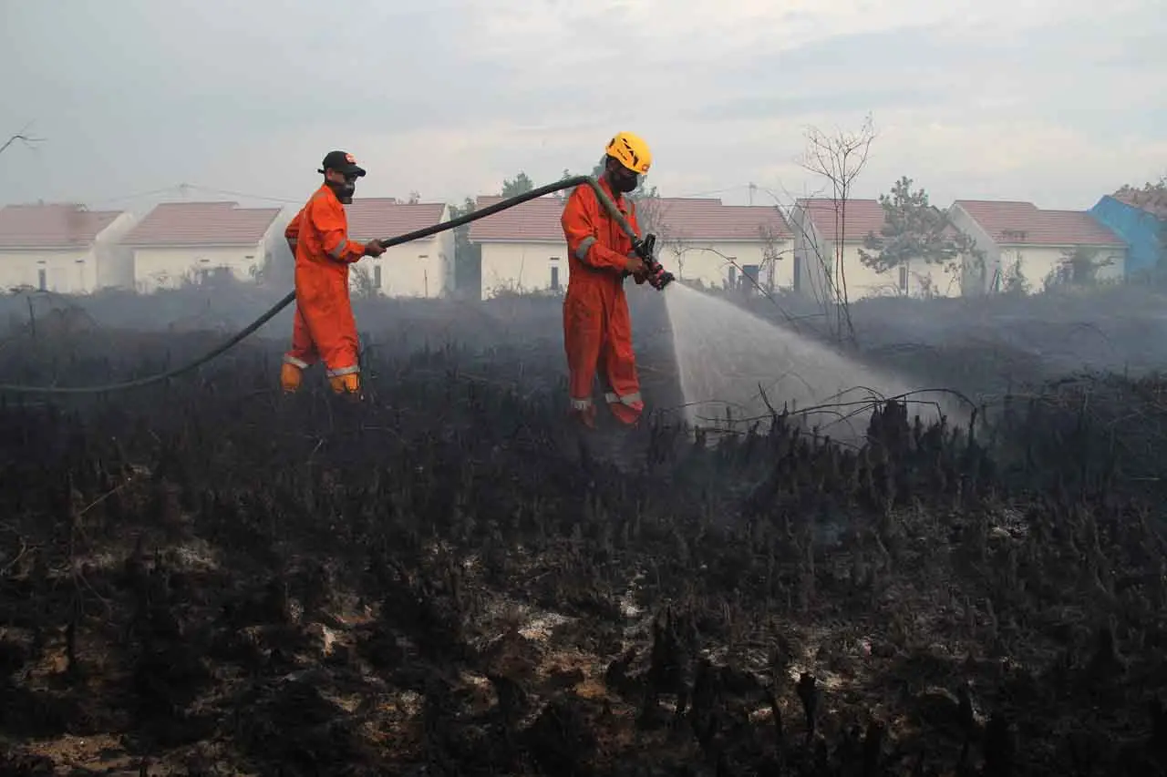 Karhutla di Belakang...