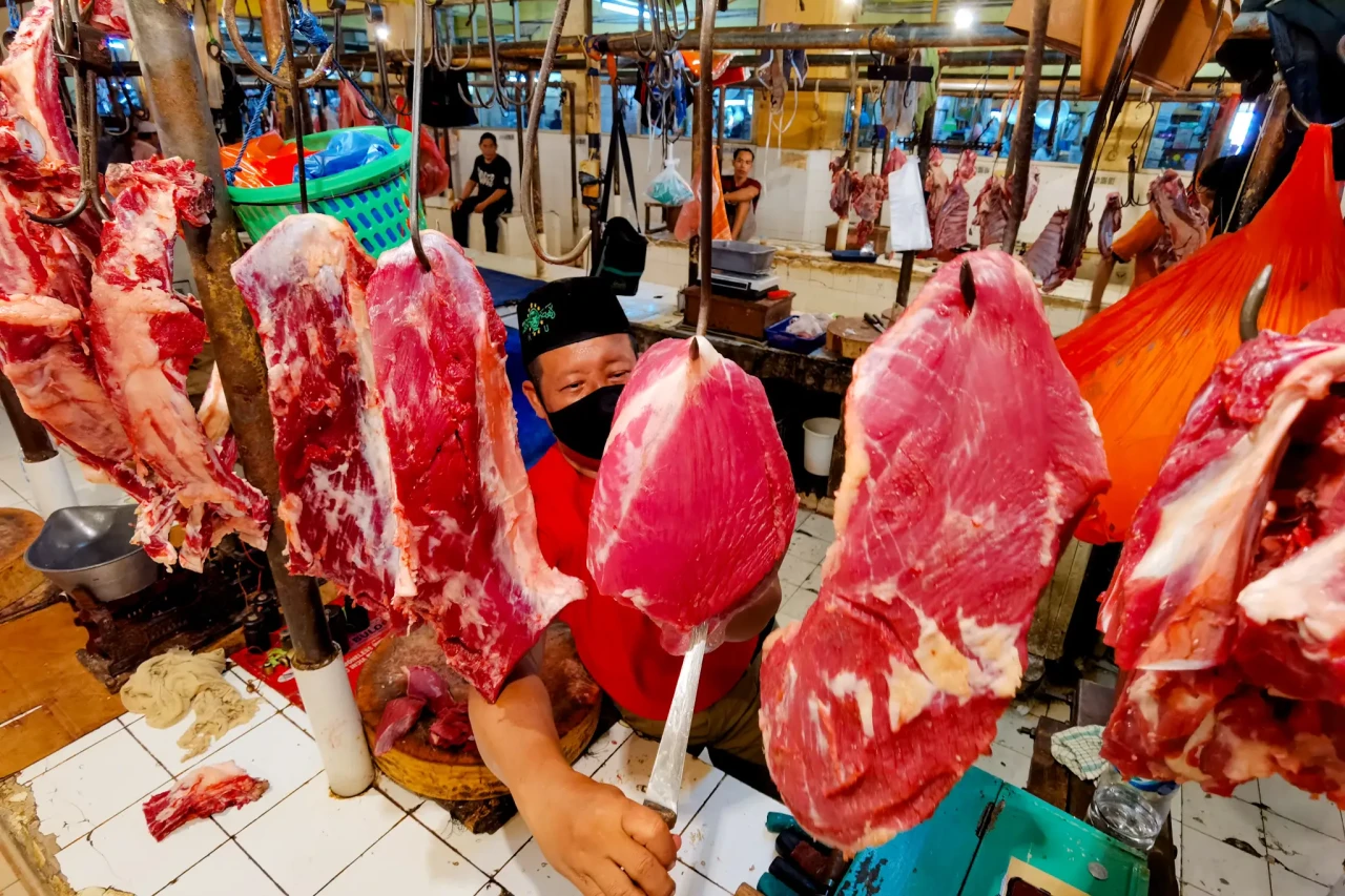 Stok Daging Sapi di...