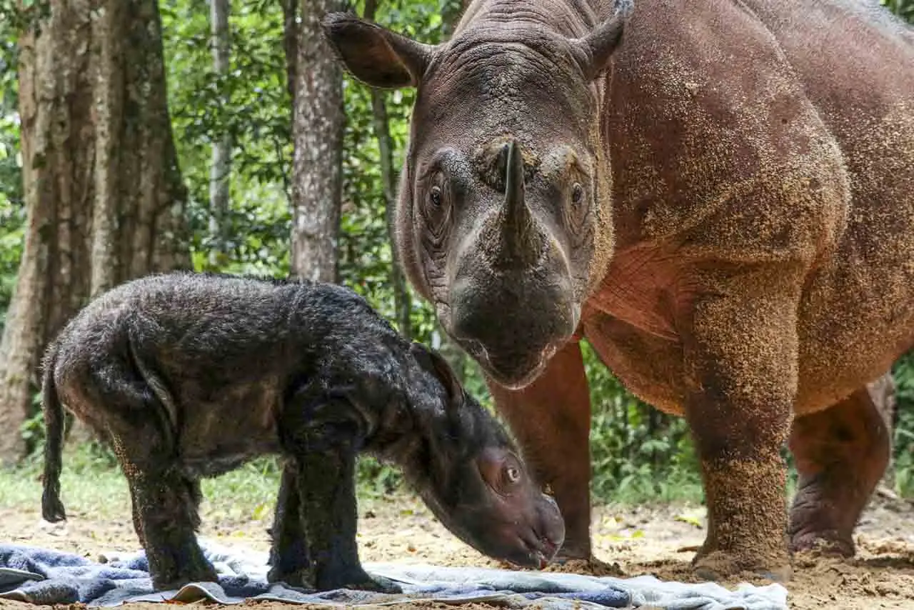 Potret Lucunya Bayi...