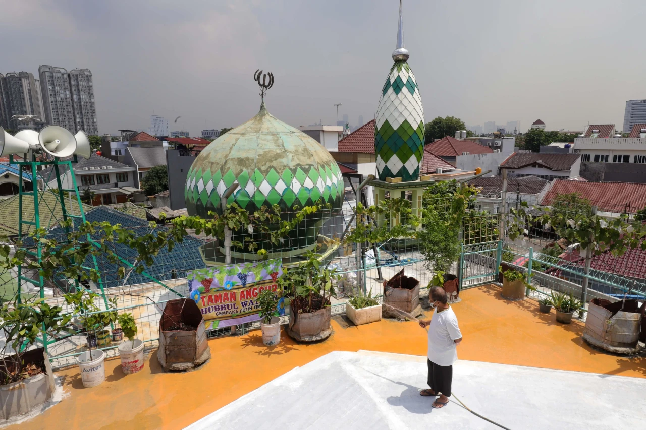 Melihat Budidaya Anggur...