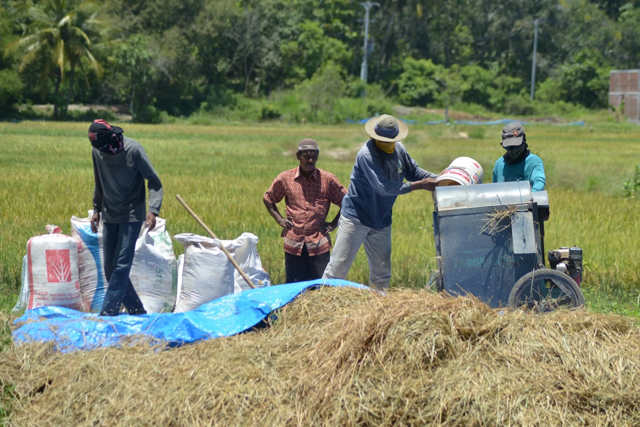 Buruh Tani Kecewa, Harga...