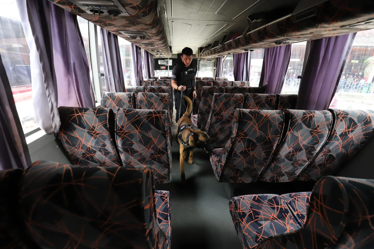 Anjing Pelacak Periksa...