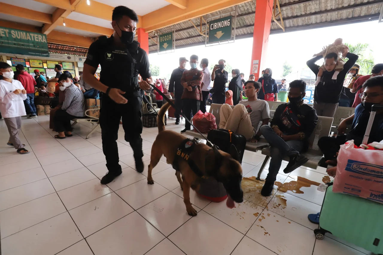 Anjing Pelacak Periksa...