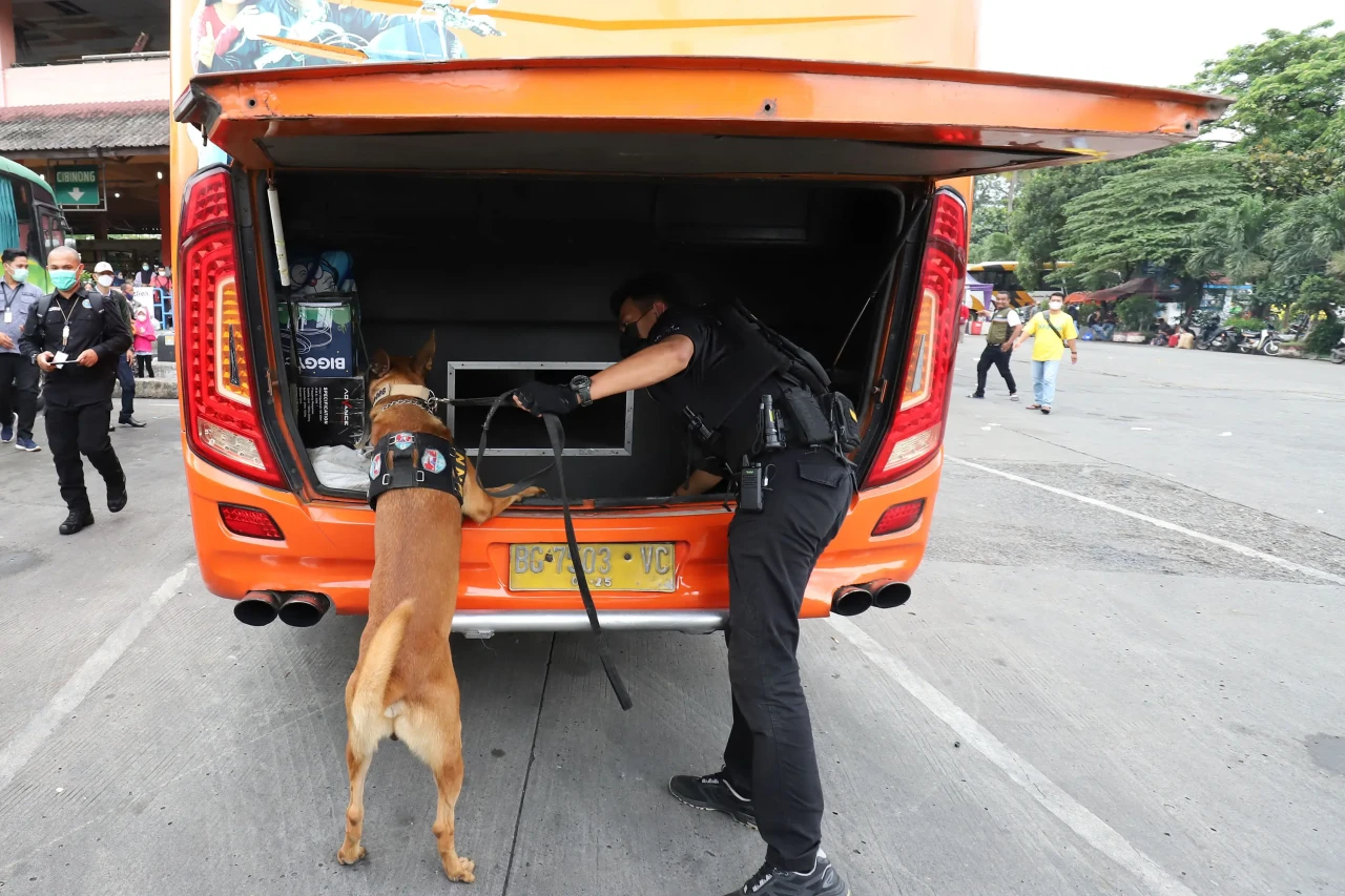 Anjing Pelacak Periksa...