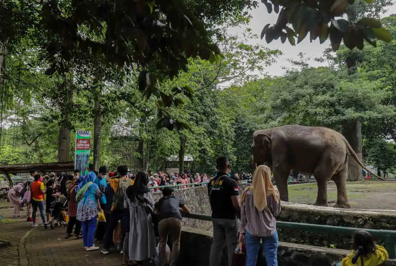 Manfaatkan Liburan Idul...