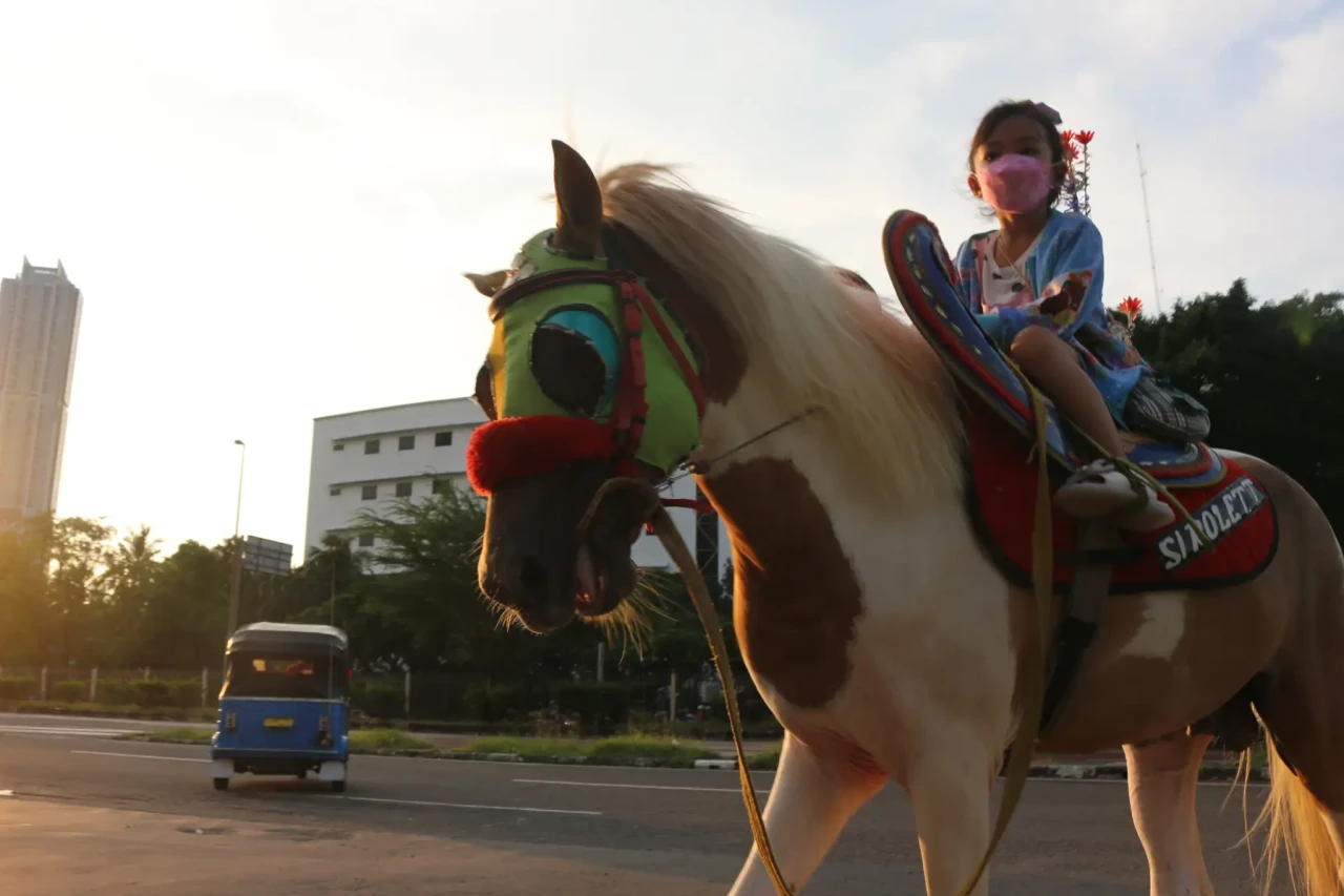 Wisata Naik Kuda di...