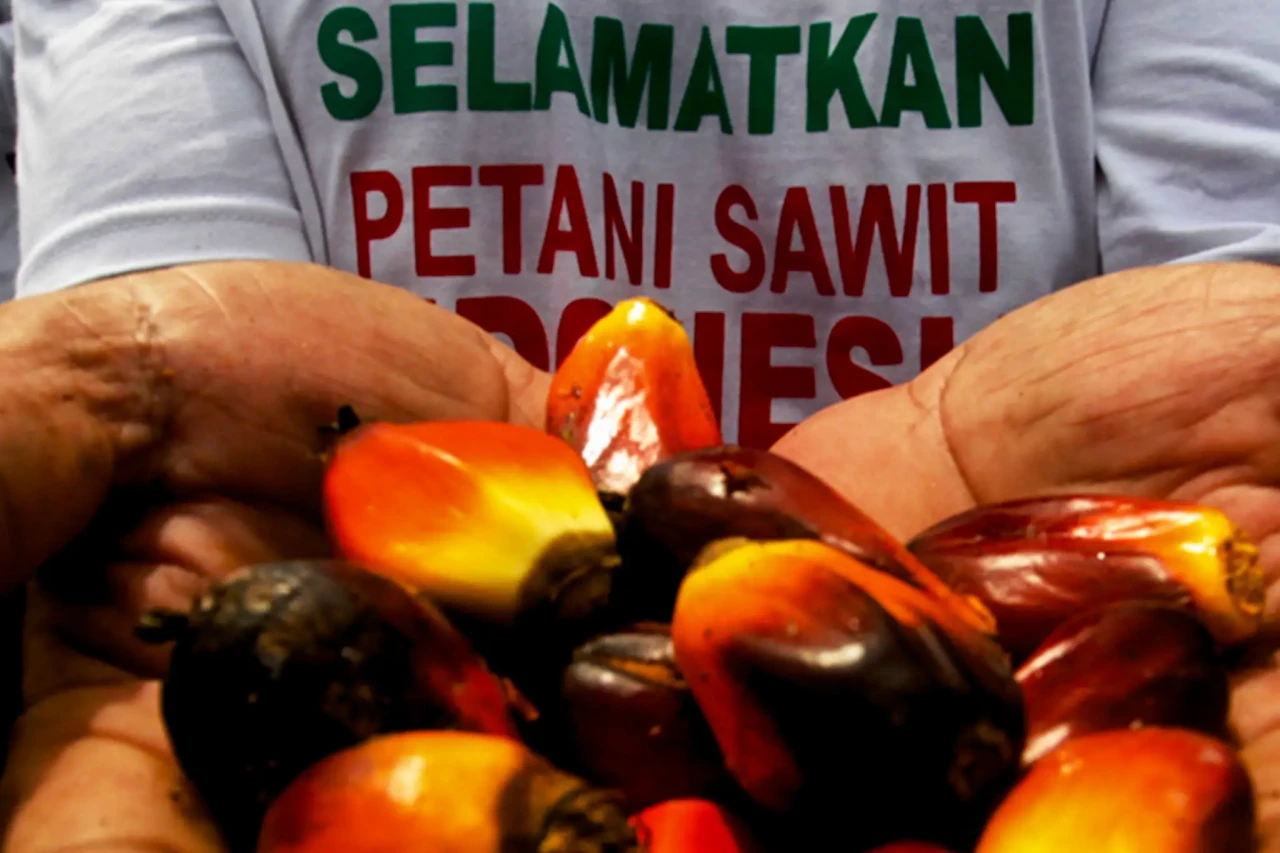Aksi Unjuk Rasa Petani...