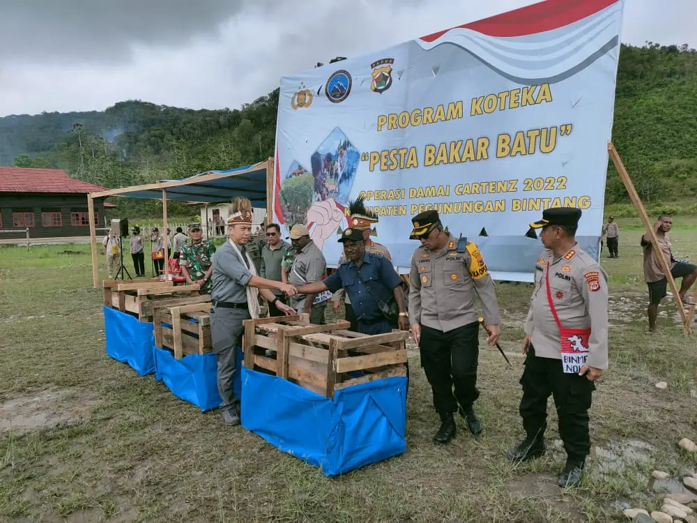 Kepala Operasi Damai...