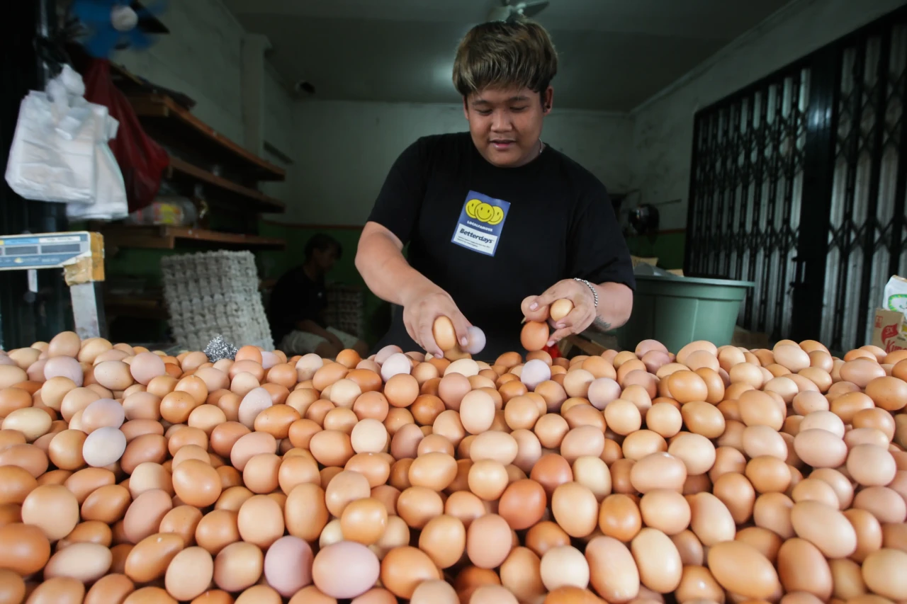 Harga Telur Ayam Ras...