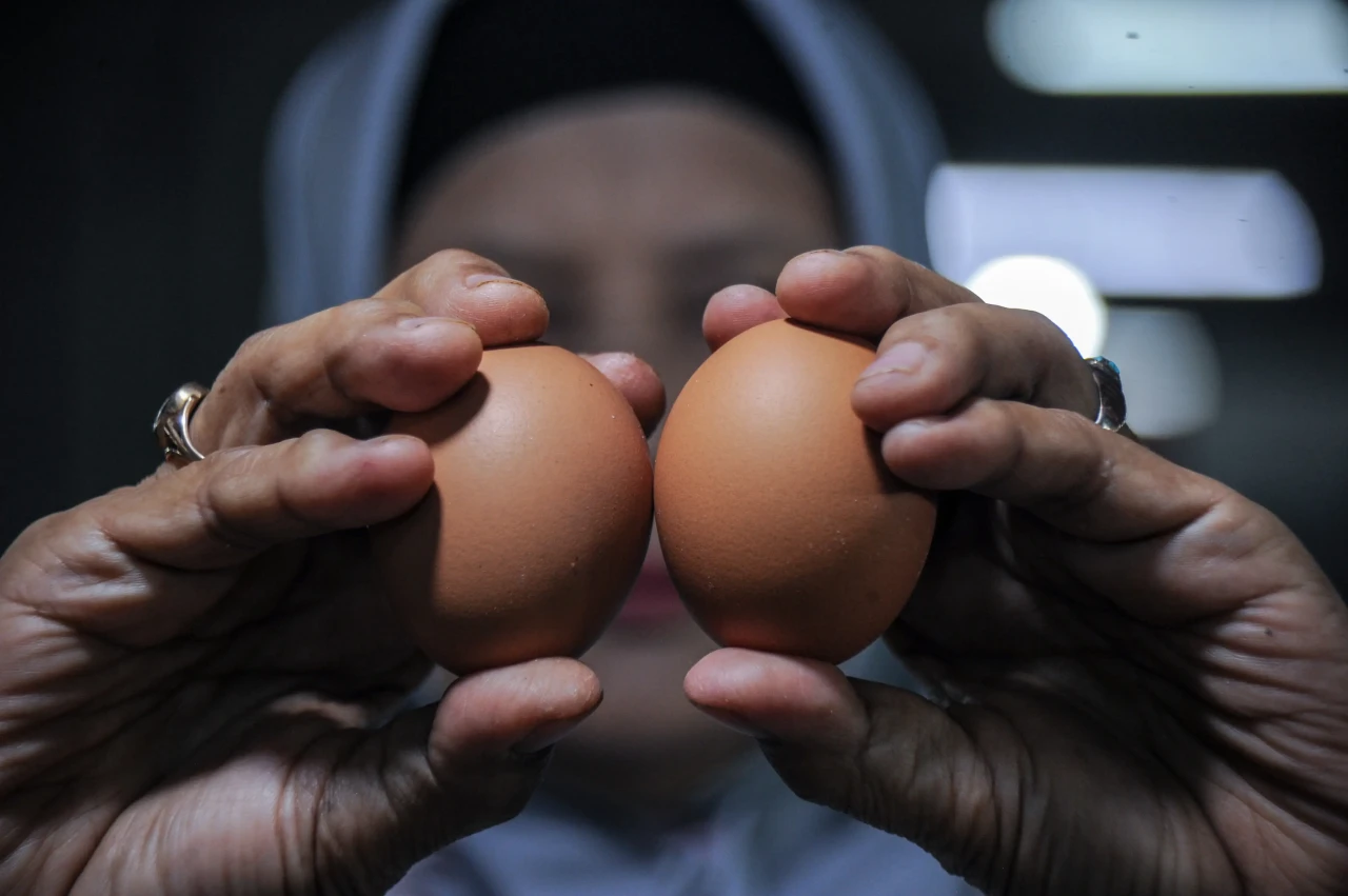 Harga Telur di Bandung...