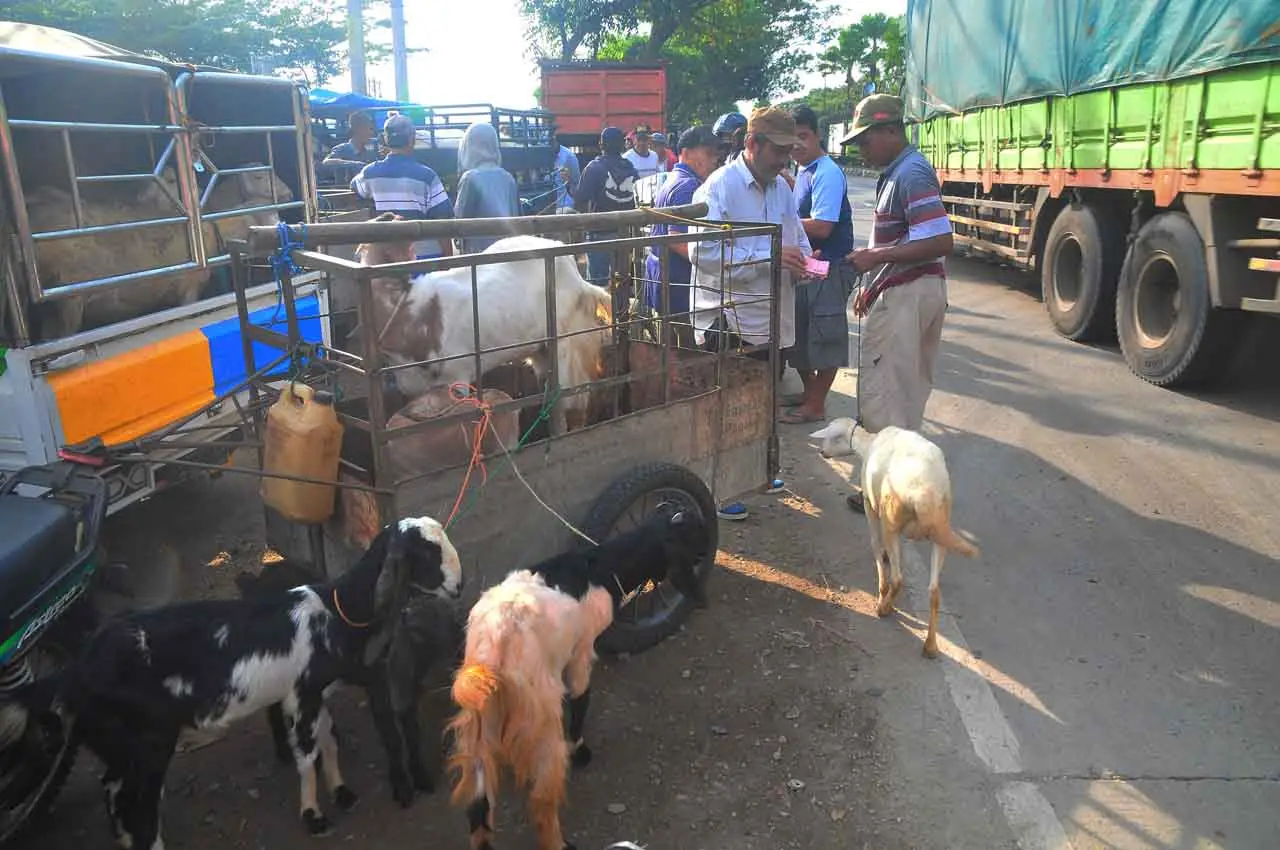 Pasar Hewan Ditutup,...