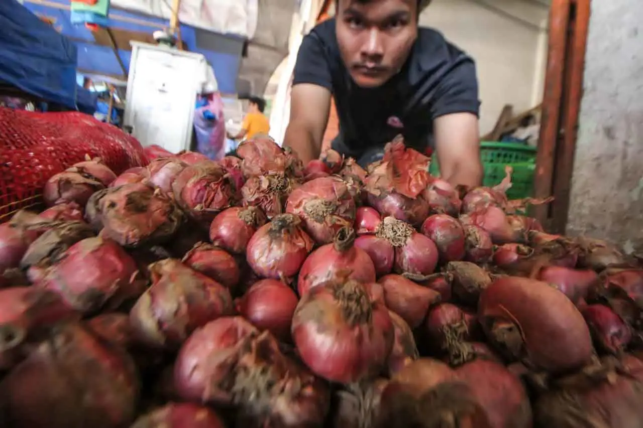 Harga Bawang Merah Tembus...