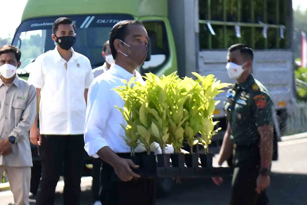 Momen Jokowi Ngangkut...