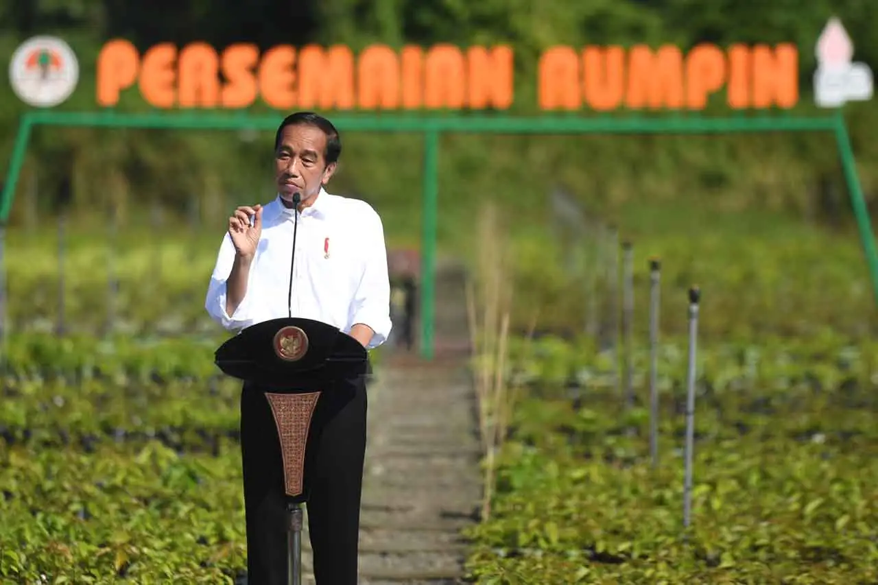 Momen Jokowi Ngangkut...