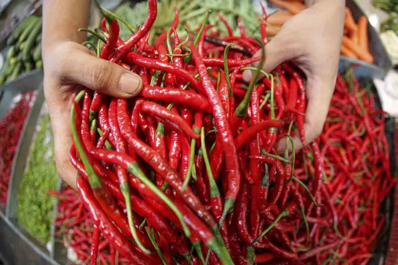 Harga Cabai Rawit Merah...
