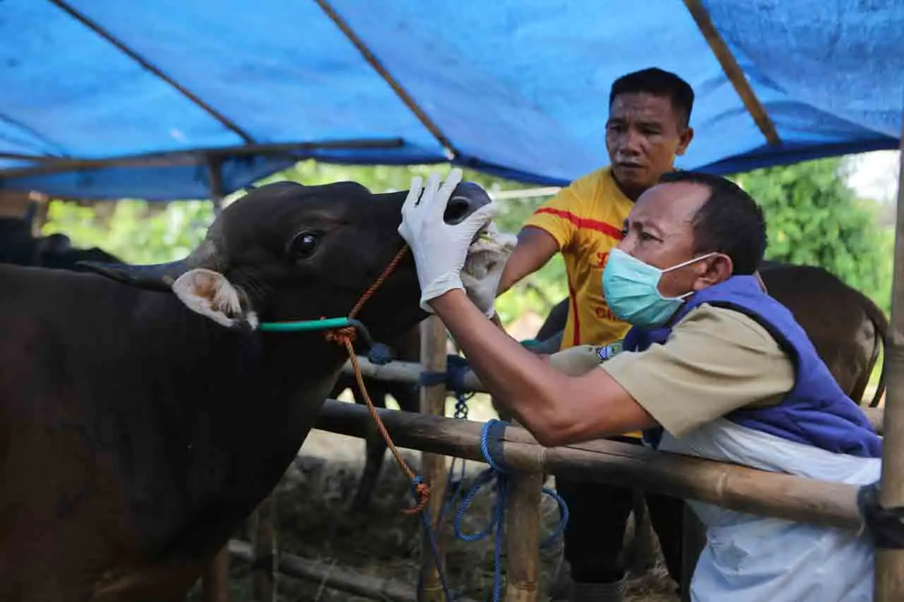 Pemkot Tangerang Larang...
