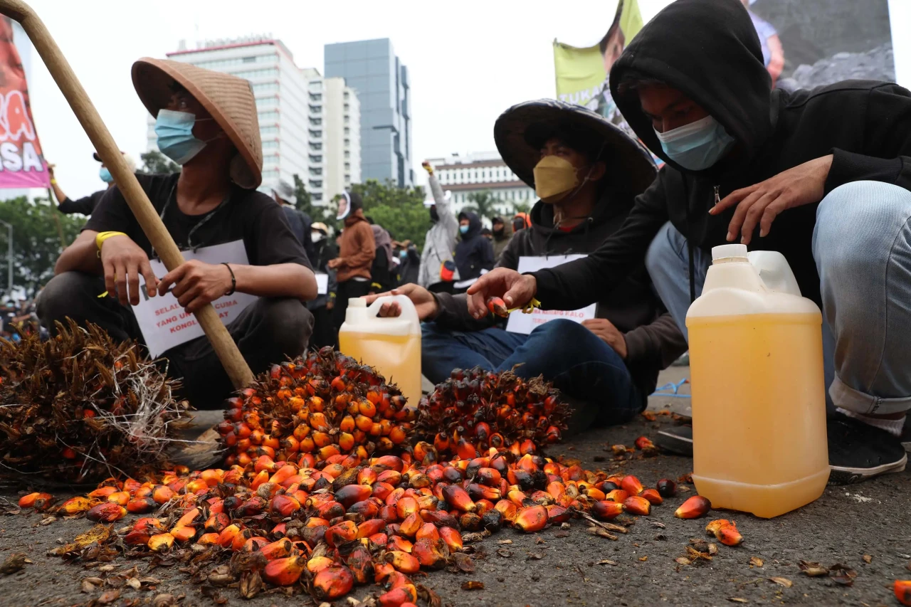 Aksi Damai Usut Kelangkaan...