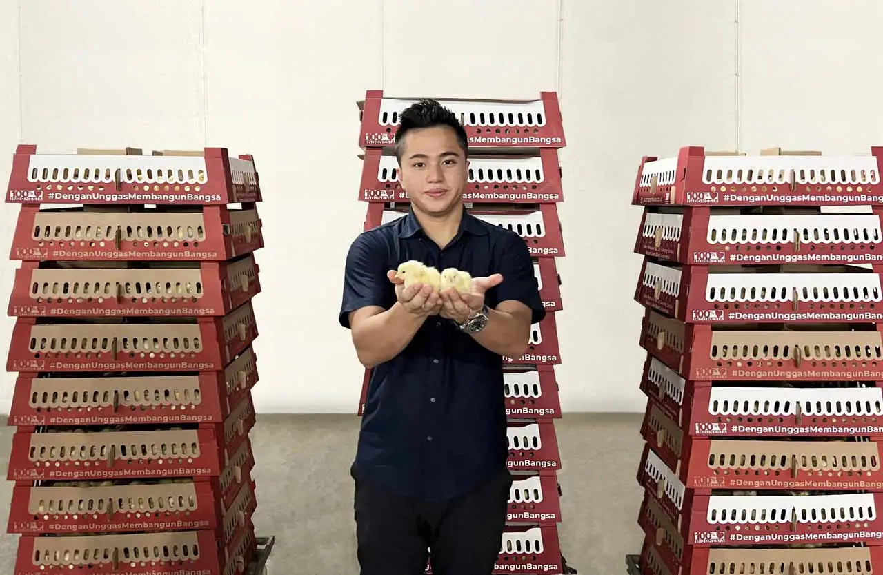 Redam Impor Bibit Ayam...