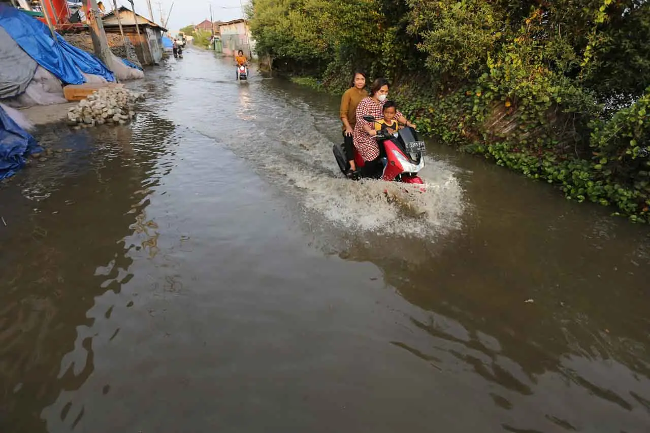 Banjir Rob Rendam Puluhan...