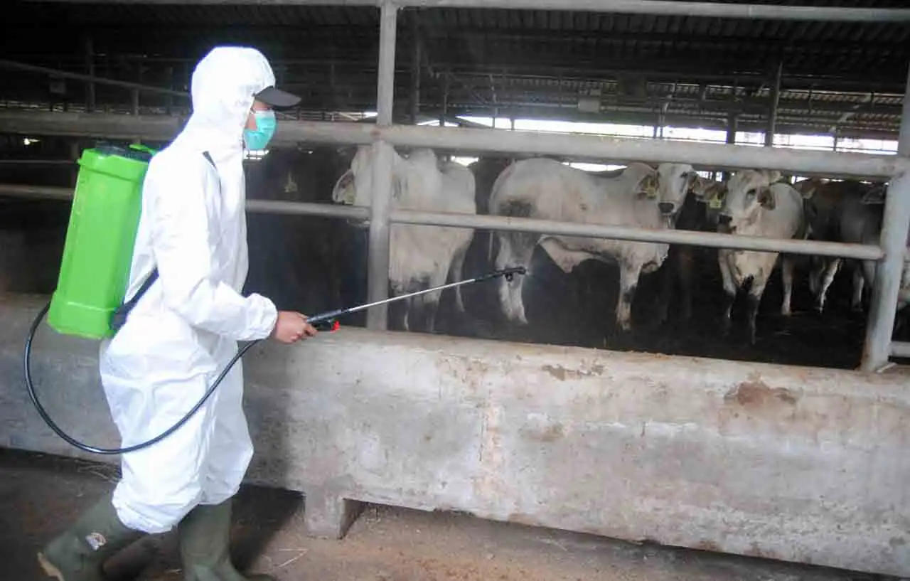 Penyemprotan Disinfektan...