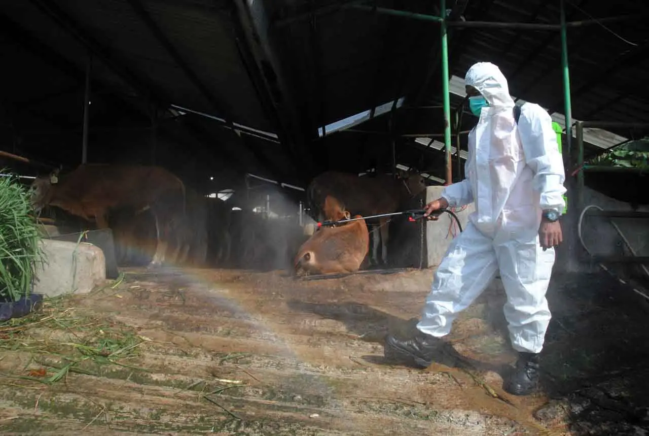 Penyemprotan Disinfektan...