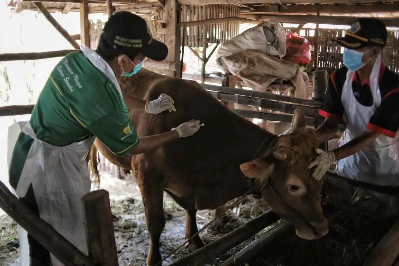 Bantuan 3.000 Dosis...
