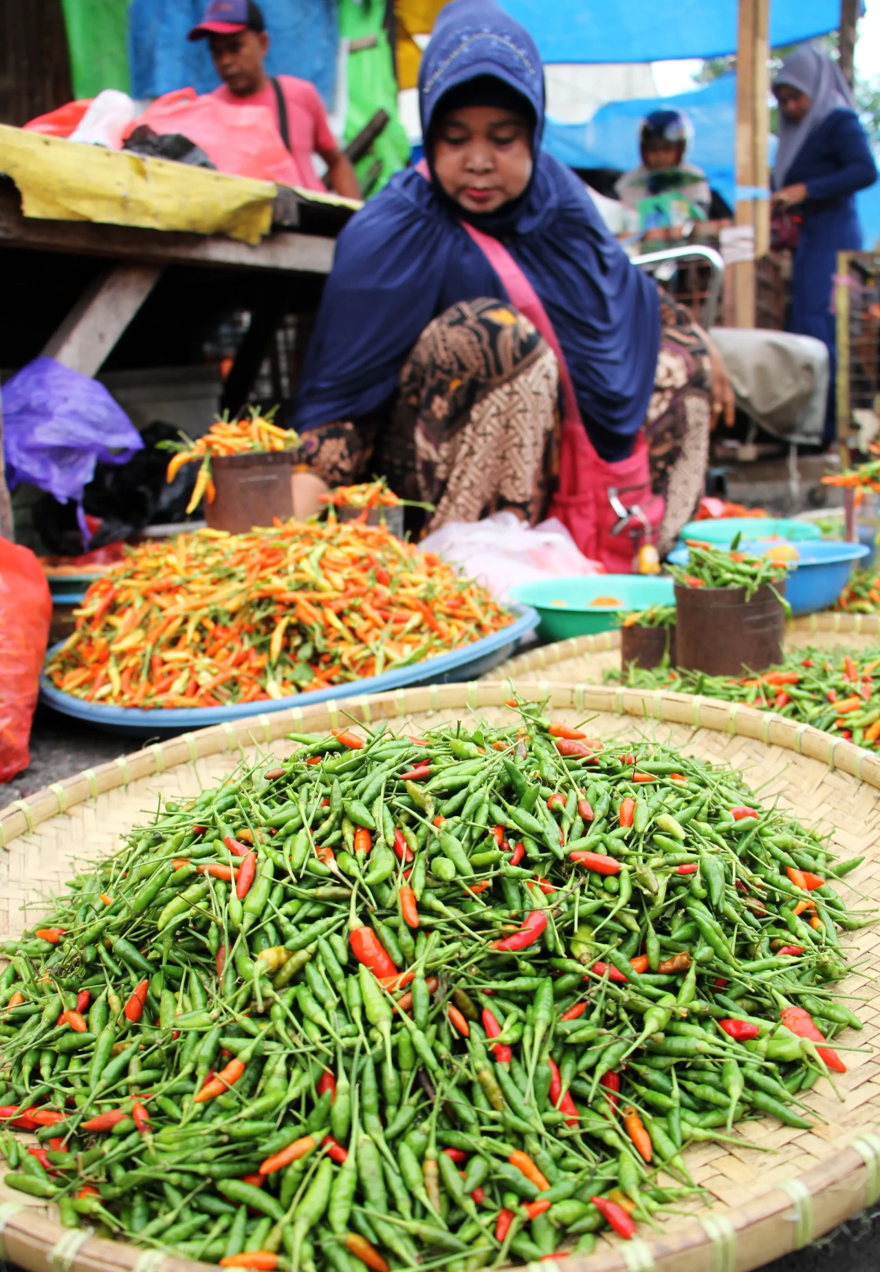 Harga Cabe Rawit Tinggi...