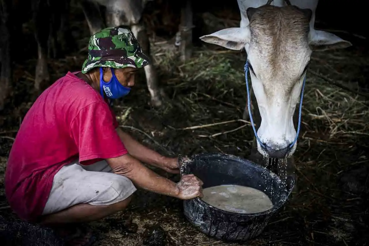 Anies Baswedan Pastikan...