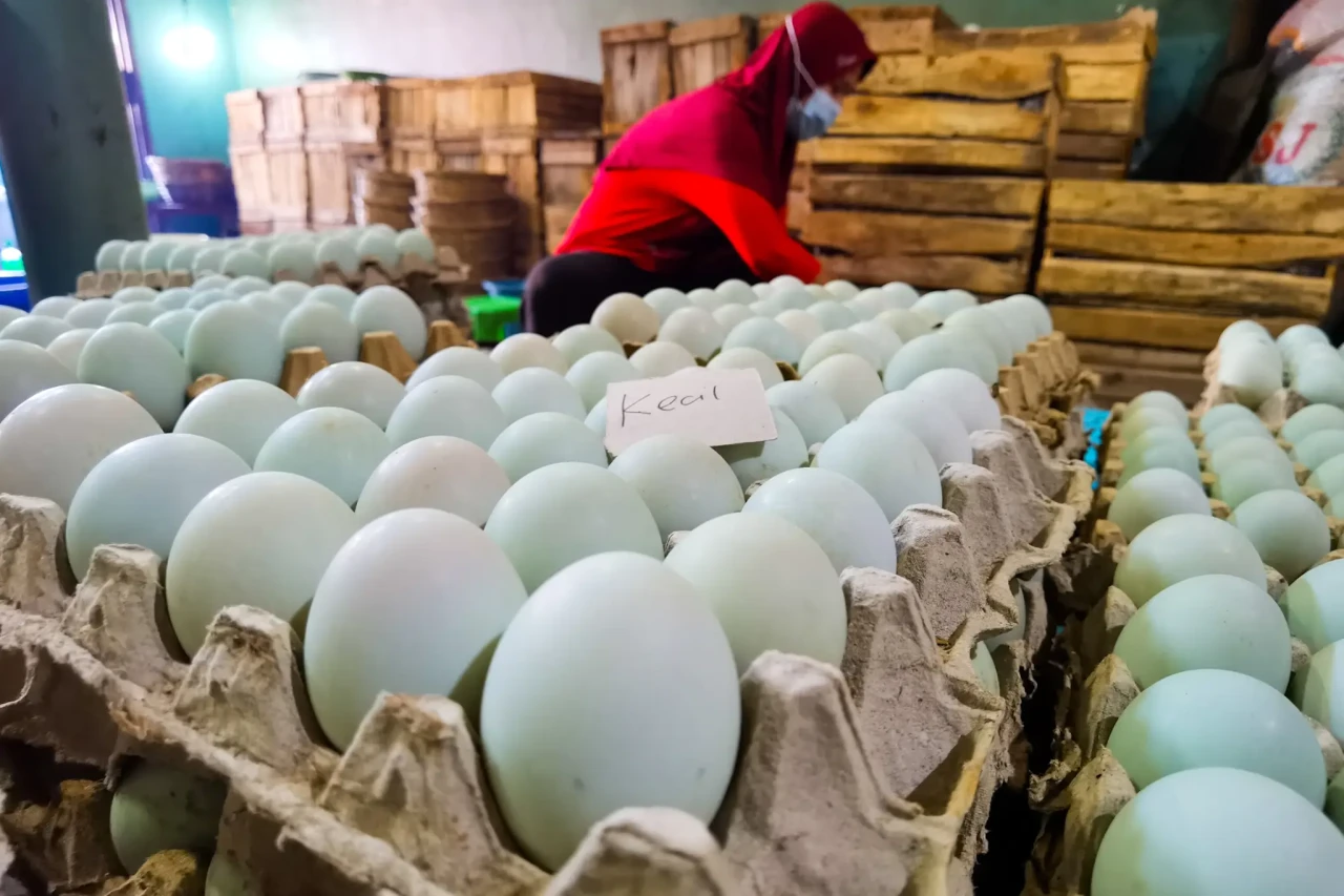 Telur Asin Indonesia...
