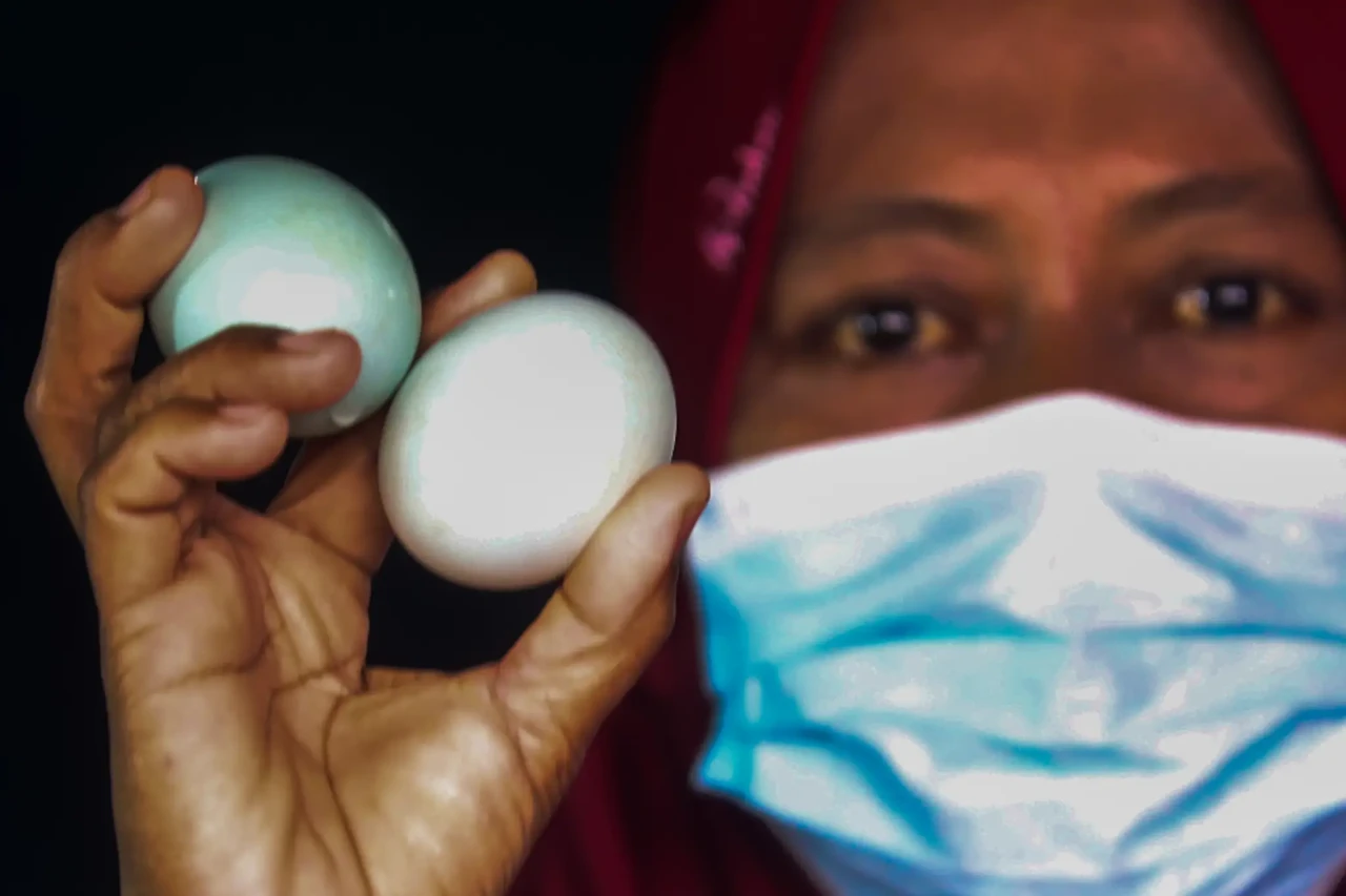 Telur Asin Indonesia...