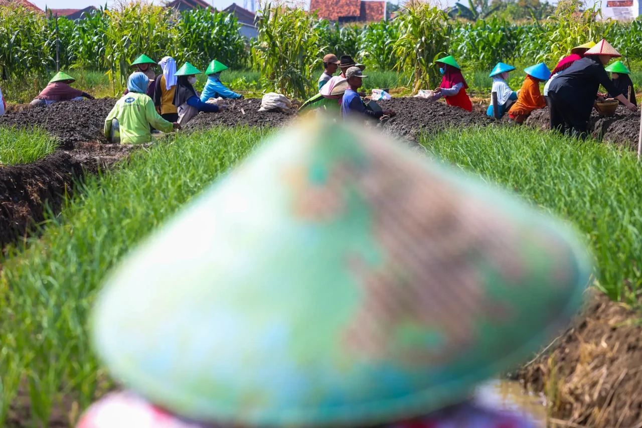 Jelang Idul Adha, Harga...